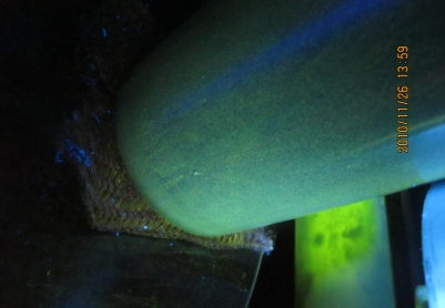 可以看见缺陷吗？